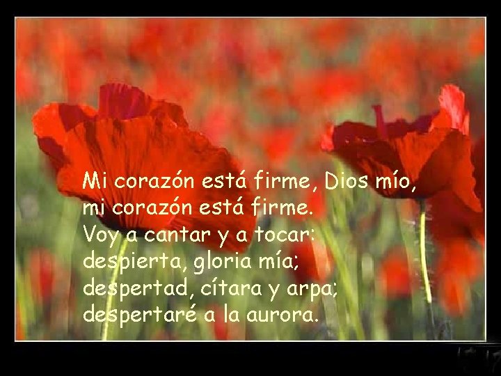 Mi corazón está firme, Dios mío, mi corazón está firme. Voy a cantar y