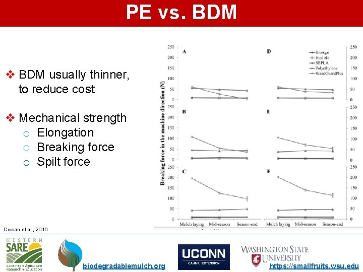 PE vs. BDM v BDM usually thinner, to reduce cost v Mechanical strength o