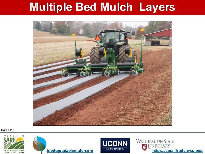 Multiple Bed Mulch Layers Rain-Flo biodegradablemulch. org https: //smallfruits. wsu. edu 