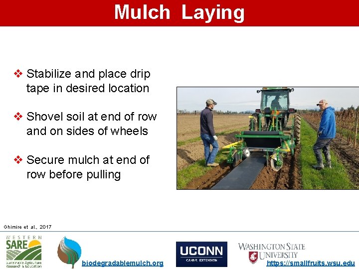 Mulch Laying v Stabilize and place drip tape in desired location v Shovel soil