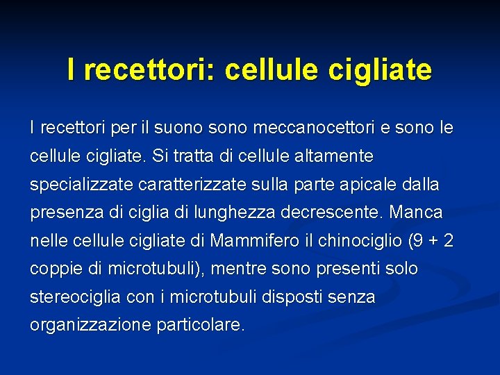 I recettori: cellule cigliate I recettori per il suono sono meccanocettori e sono le
