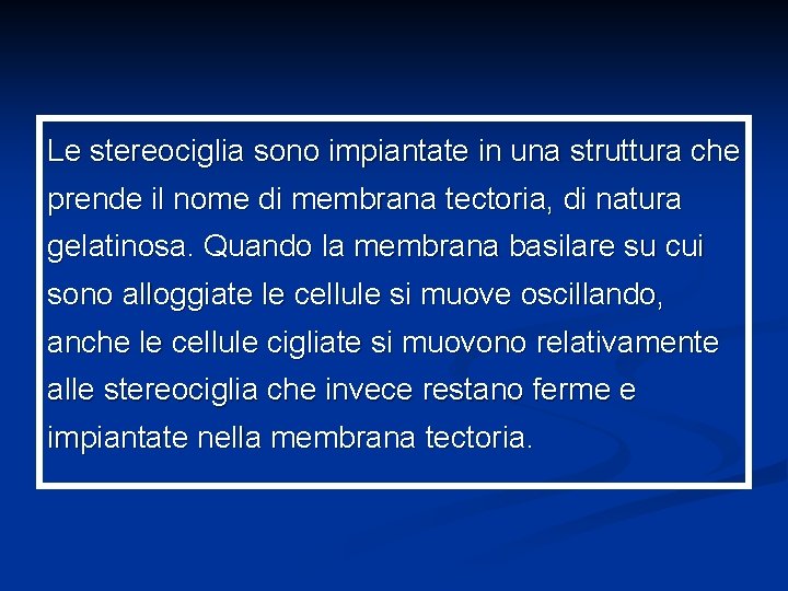Le stereociglia sono impiantate in una struttura che prende il nome di membrana tectoria,