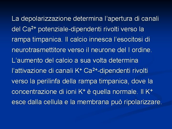 La depolarizzazione determina l’apertura di canali del Ca 2+ potenziale-dipendenti rivolti verso la rampa