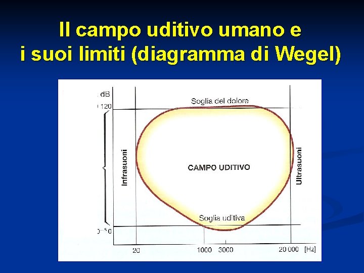 Il campo uditivo umano e i suoi limiti (diagramma di Wegel) 