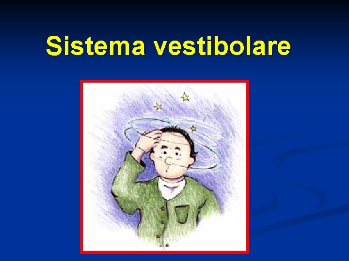 Sistema vestibolare 