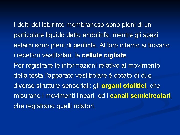 I dotti del labirinto membranoso sono pieni di un particolare liquido detto endolinfa, mentre