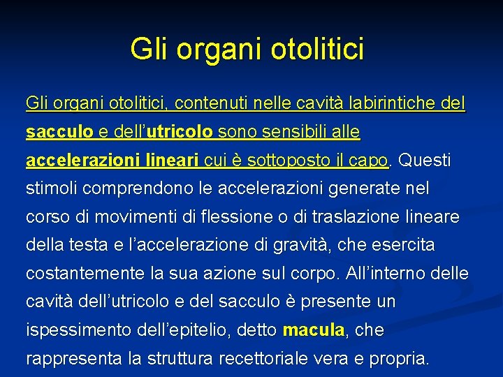 Gli organi otolitici, contenuti nelle cavità labirintiche del sacculo e dell’utricolo sono sensibili alle