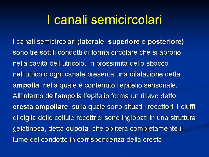 I canali semicircolari (laterale, superiore e posteriore) sono tre sottili condotti di forma circolare