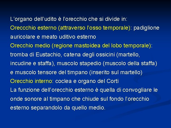 L’organo dell’udito è l’orecchio che si divide in: Oreccchio esterno (attraverso l’osso temporale): padiglione