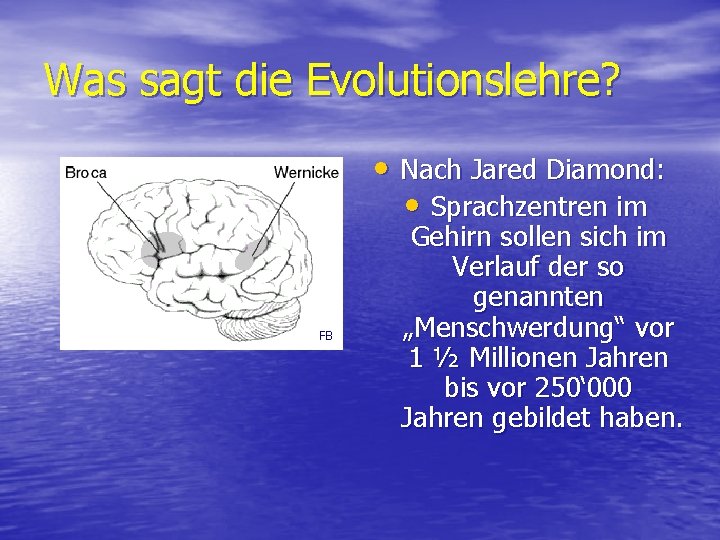 Was sagt die Evolutionslehre? • Nach Jared Diamond: • Sprachzentren im FB Gehirn sollen