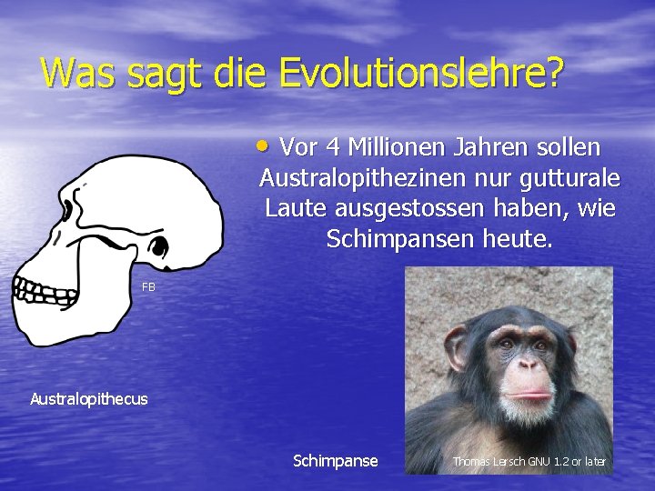 Was sagt die Evolutionslehre? • Vor 4 Millionen Jahren sollen Australopithezinen nur gutturale Laute
