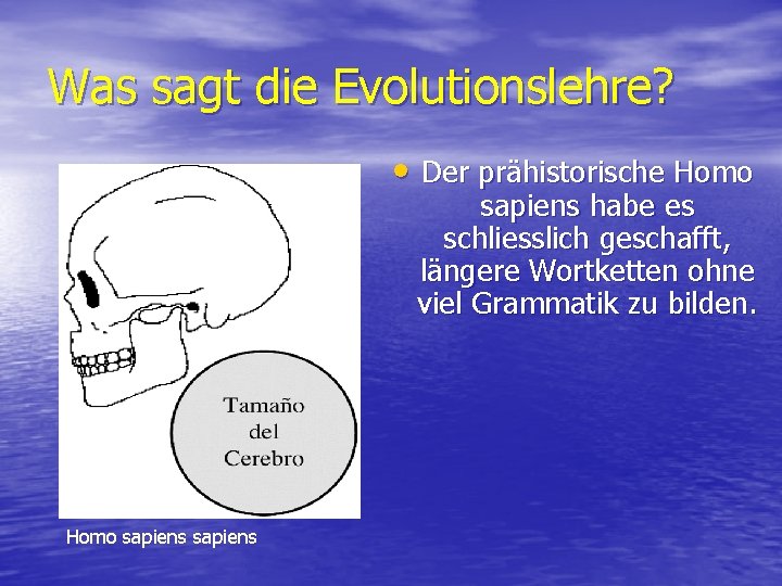 Was sagt die Evolutionslehre? • Der prähistorische Homo sapiens habe es schliesslich geschafft, längere