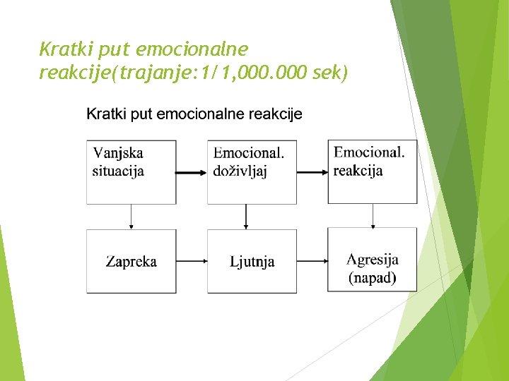 Kratki put emocionalne reakcije(trajanje: 1/1, 000 sek) 