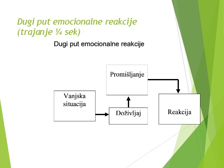 Dugi put emocionalne reakcije (trajanje ¼ sek) 