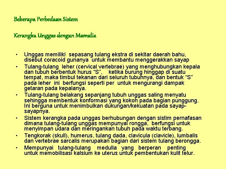 Beberapa Perbedaan Sistem Kerangka Unggas dengan Mamalia • • • Unggas memiliki sepasang tulang