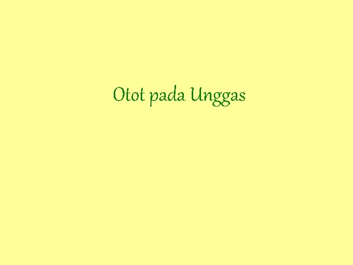 Otot pada Unggas 