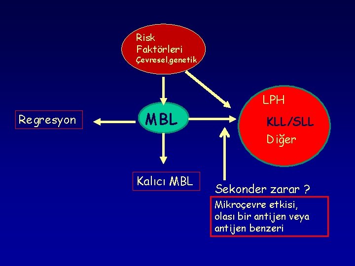 Risk Faktörleri Çevresel, genetik Regresyon MBL LPH KLL/SLL Diğer Kalıcı MBL Sekonder zarar ?