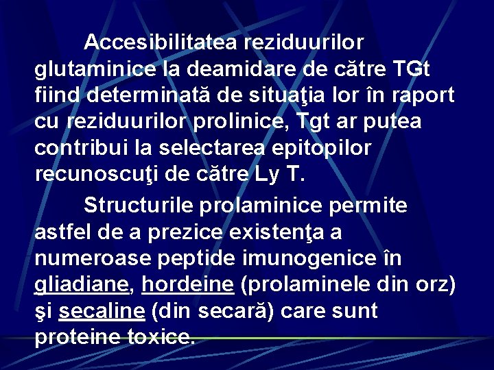 Accesibilitatea reziduurilor glutaminice la deamidare de către TGt fiind determinată de situaţia lor în