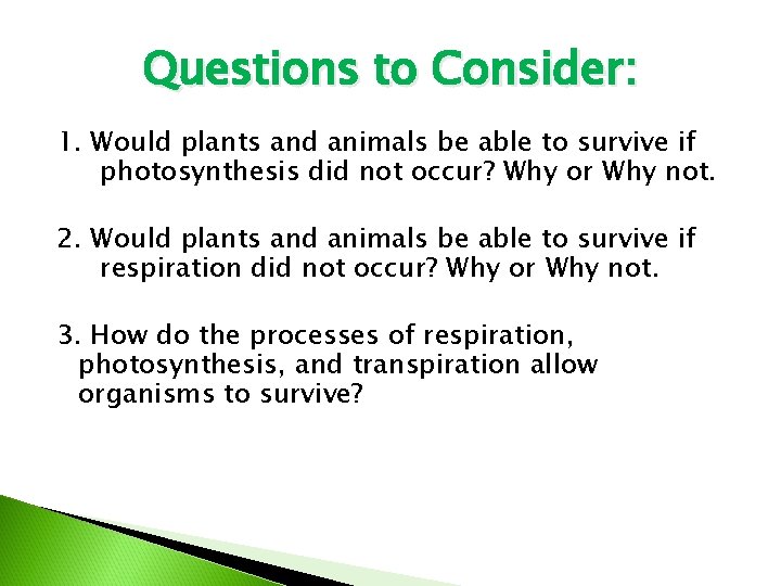 Questions to Consider: 1. Would plants and animals be able to survive if photosynthesis