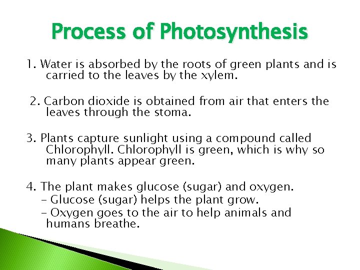 Process of Photosynthesis 1. Water is absorbed by the roots of green plants and