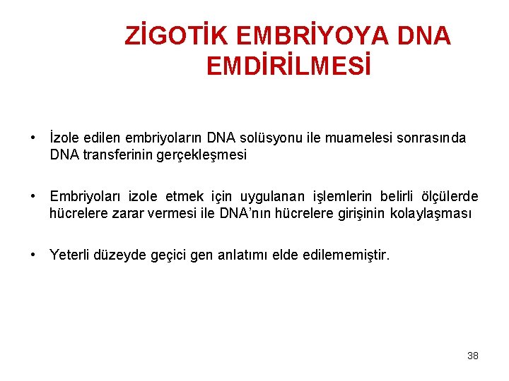 ZİGOTİK EMBRİYOYA DNA EMDİRİLMESİ • İzole edilen embriyoların DNA solüsyonu ile muamelesi sonrasında DNA