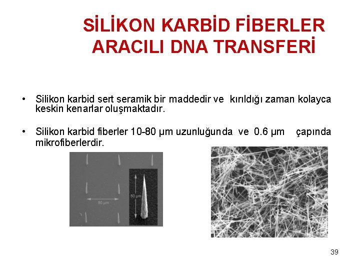 SİLİKON KARBİD FİBERLER ARACILI DNA TRANSFERİ • Silikon karbid sert seramik bir maddedir ve