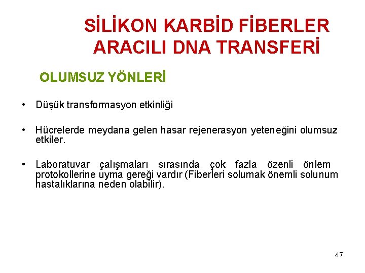 SİLİKON KARBİD FİBERLER ARACILI DNA TRANSFERİ OLUMSUZ YÖNLERİ • Düşük transformasyon etkinliği • Hücrelerde