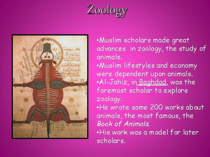Zoology • Muslim scholars made great advances in zoology, the study of animals. •