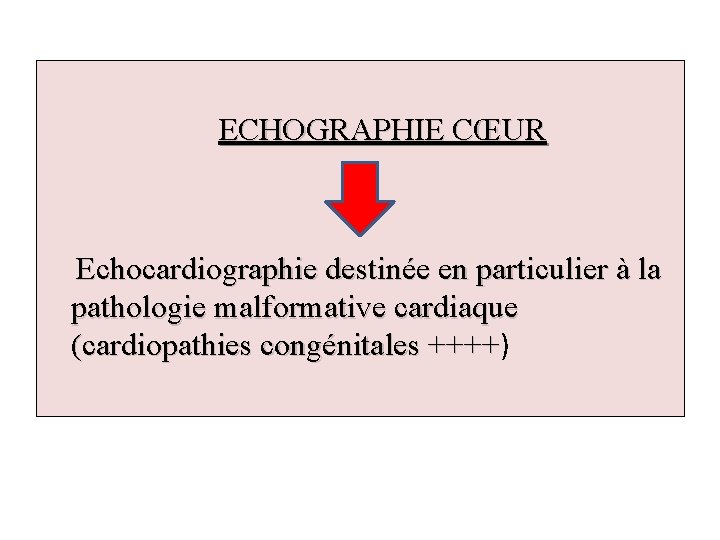 ECHOGRAPHIE CŒUR Echocardiographie destinée en particulier à la pathologie malformative cardiaque (cardiopathies congénitales ++++)