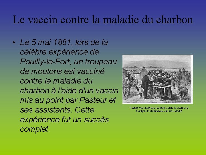 Le vaccin contre la maladie du charbon • Le 5 mai 1881, lors de