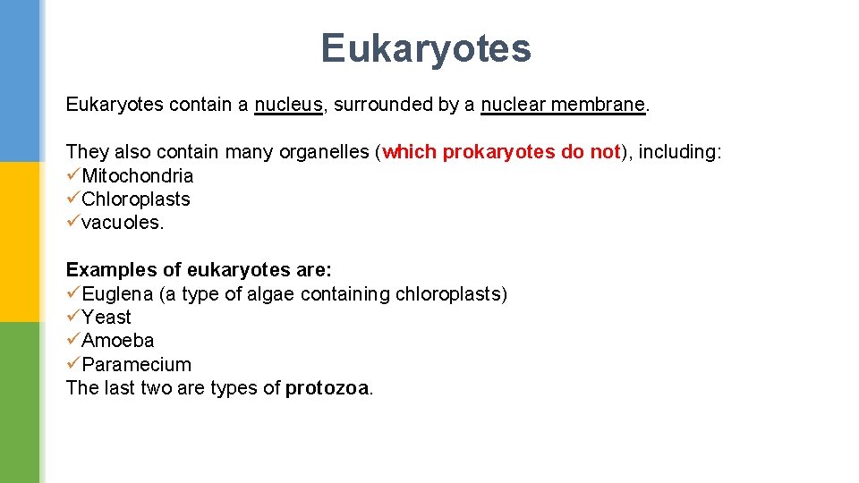 Eukaryotes contain a nucleus, surrounded by a nuclear membrane. They also contain many organelles