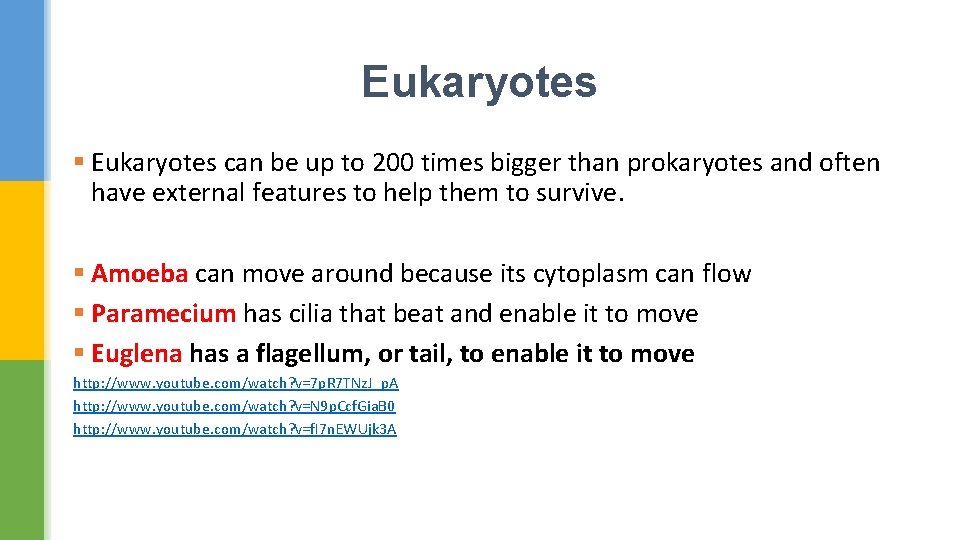 Eukaryotes § Eukaryotes can be up to 200 times bigger than prokaryotes and often