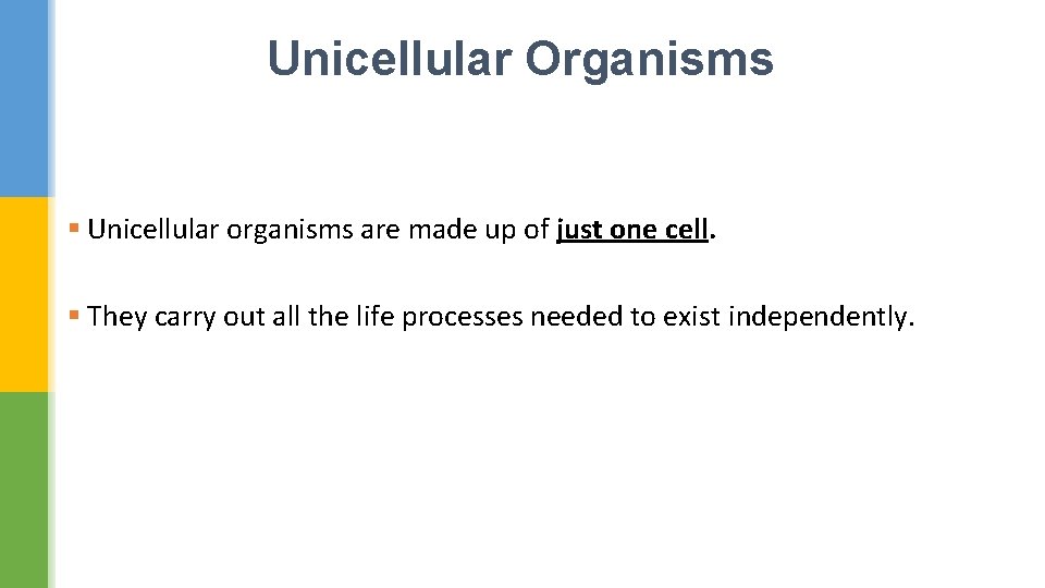 Unicellular Organisms § Unicellular organisms are made up of just one cell. § They