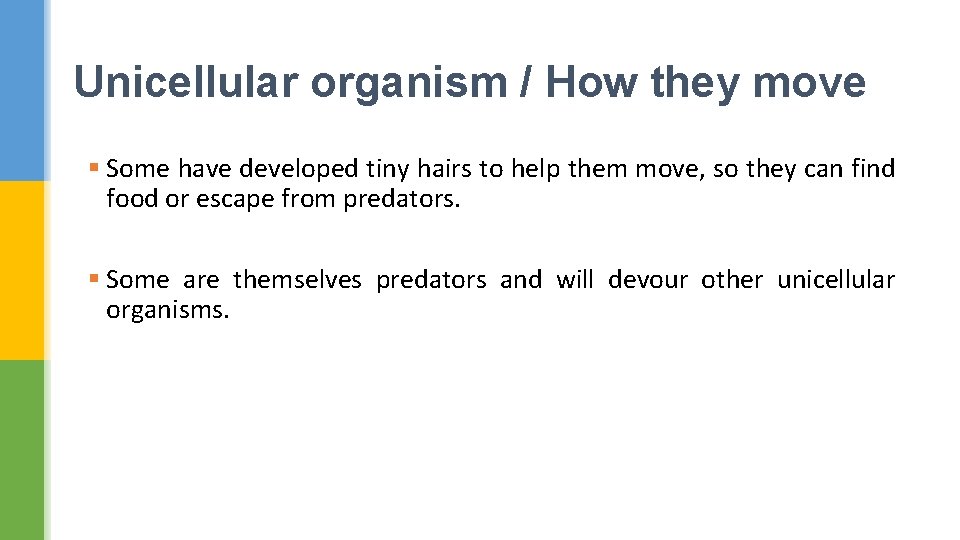 Unicellular organism / How they move § Some have developed tiny hairs to help