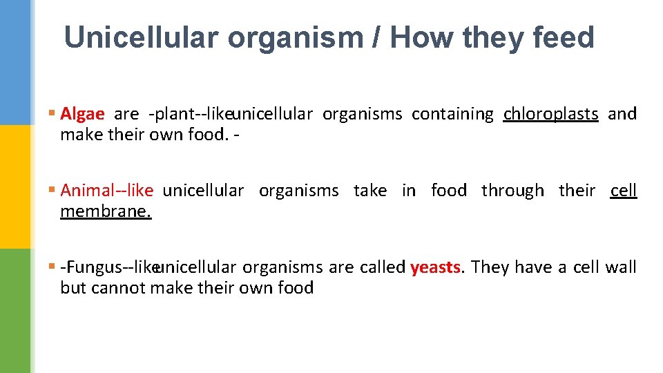 Unicellular organism / How they feed § Algae are plant like unicellular organisms containing