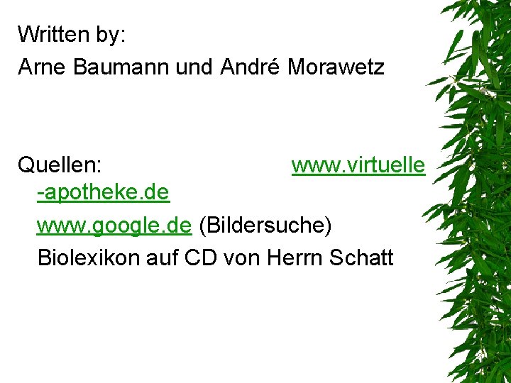 Written by: Arne Baumann und André Morawetz Quellen: www. virtuelle -apotheke. de www. google.