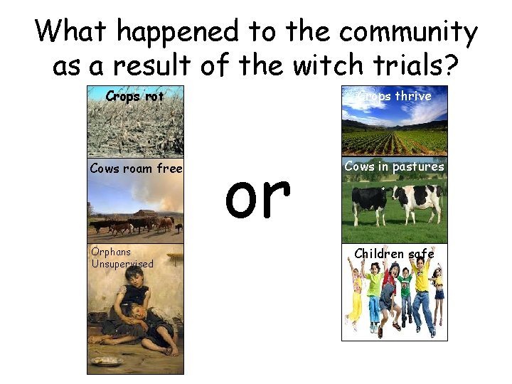 What happened to the community as a result of the witch trials? Crops rot