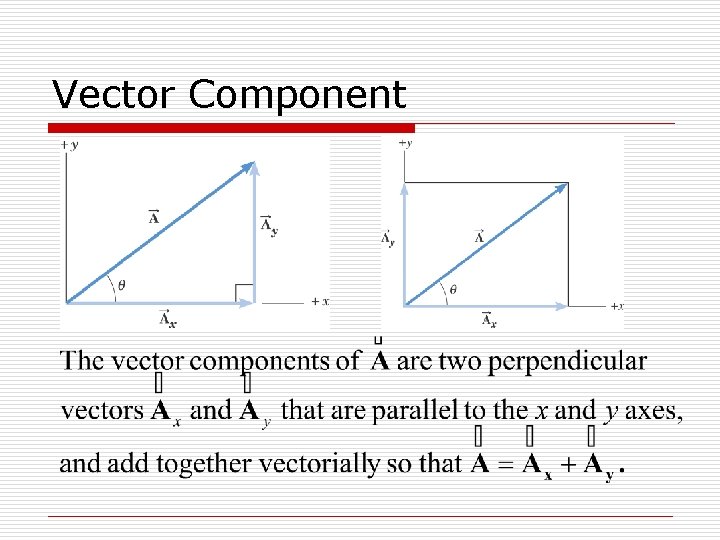 Vector Component 