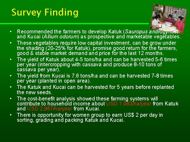 Survey Finding • Recommended the farmers to develop Katuk (Sauropus androgynus) and Kucai (Allium