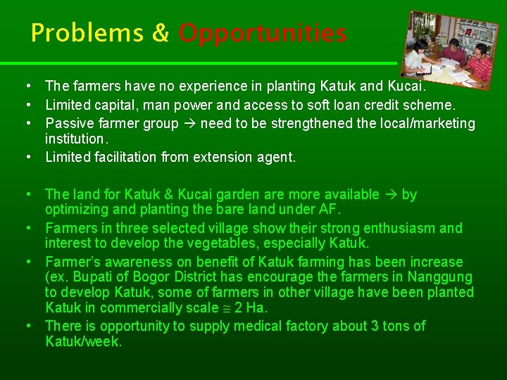 Problems & Opportunities • The farmers have no experience in planting Katuk and Kucai.