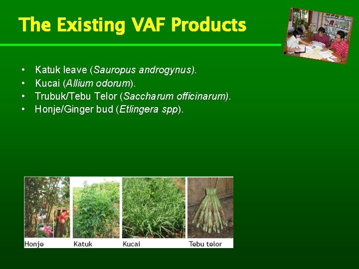 The Existing VAF Products • • Katuk leave (Sauropus androgynus). Kucai (Allium odorum). Trubuk/Tebu