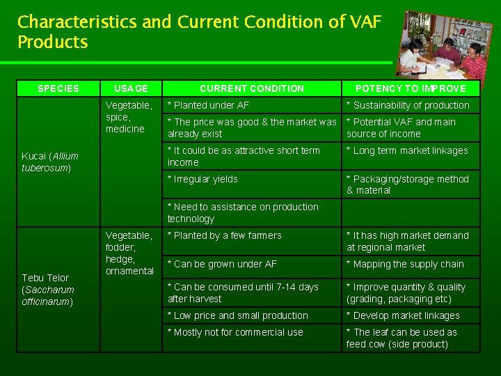 Characteristics and Current Condition of VAF Products SPECIES USAGE Vegetable, spice, medicine Kucai (Allium