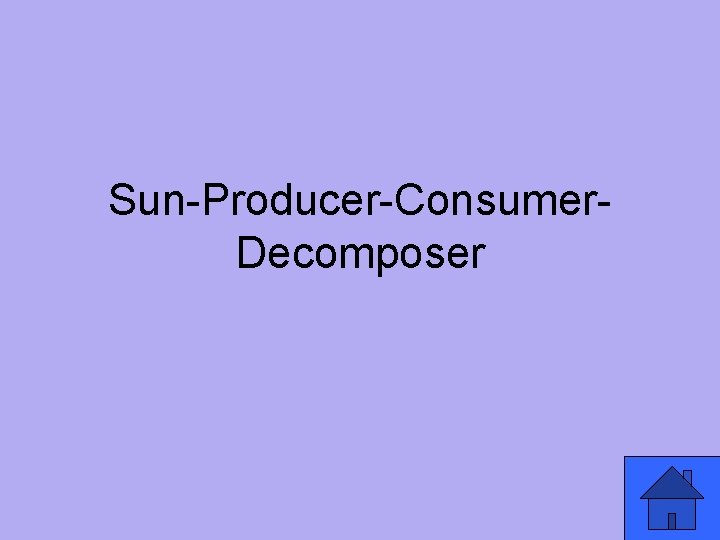 Sun-Producer-Consumer. Decomposer 