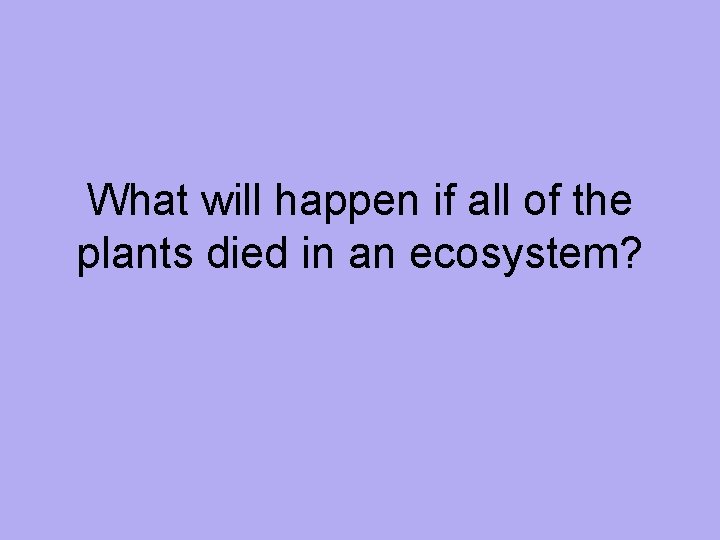 What will happen if all of the plants died in an ecosystem? 