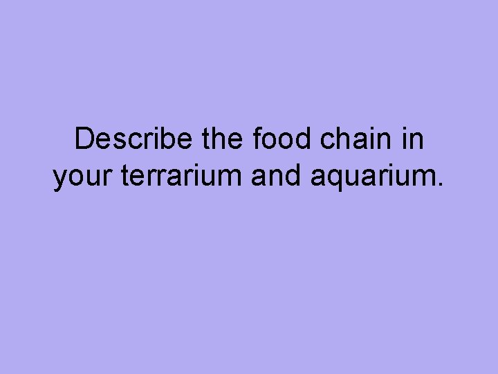 Describe the food chain in your terrarium and aquarium. 