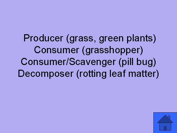 Producer (grass, green plants) Consumer (grasshopper) Consumer/Scavenger (pill bug) Decomposer (rotting leaf matter) 
