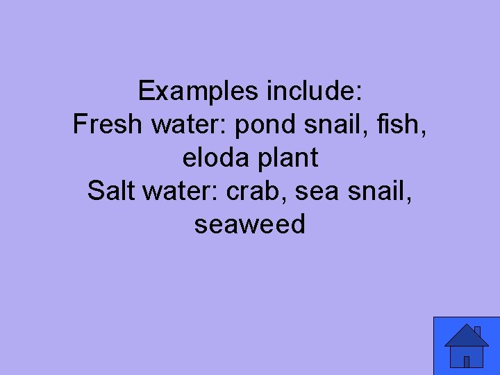 Examples include: Fresh water: pond snail, fish, eloda plant Salt water: crab, sea snail,
