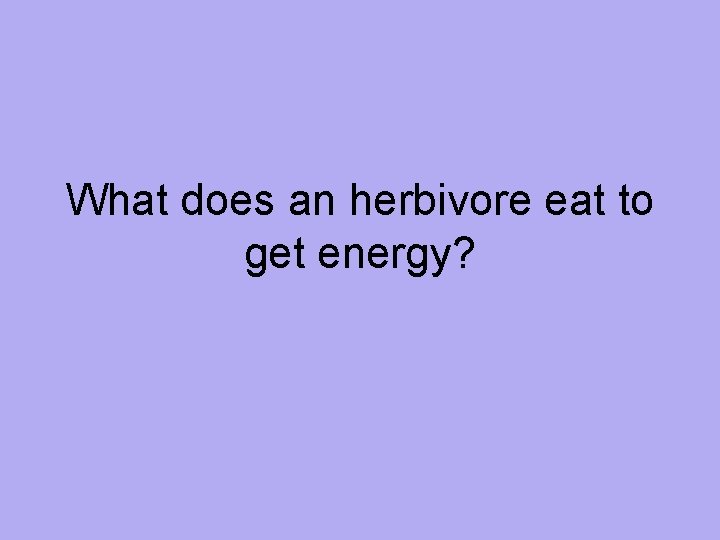 What does an herbivore eat to get energy? 