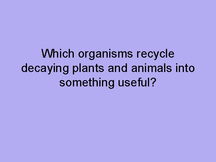 Which organisms recycle decaying plants and animals into something useful? 