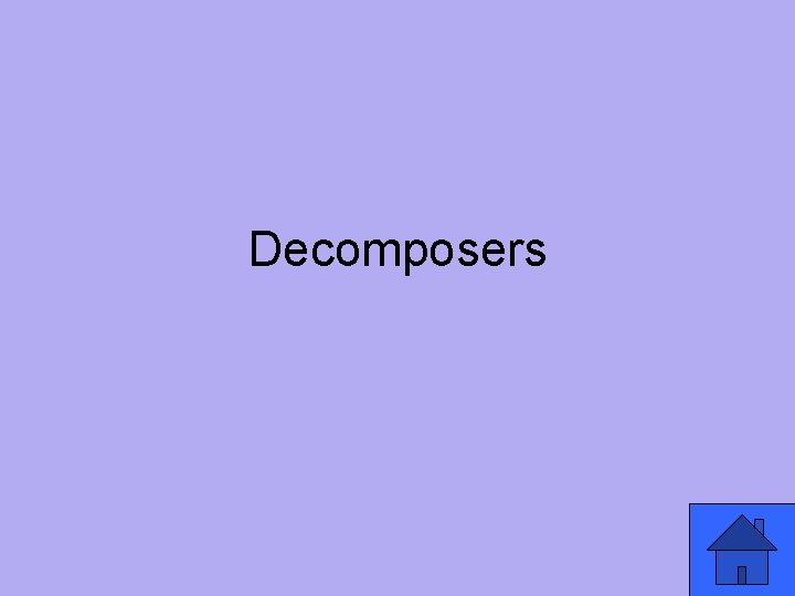 Decomposers 